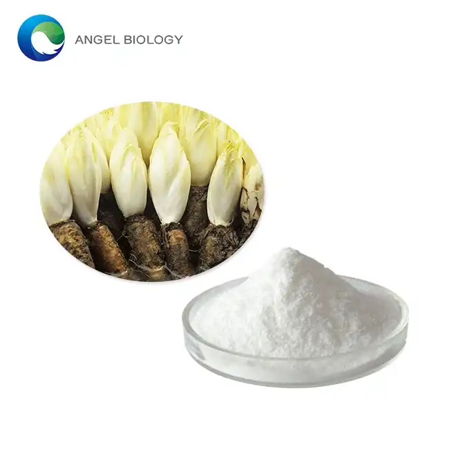 Unveiling the Power of Chicory Root Extract Powder